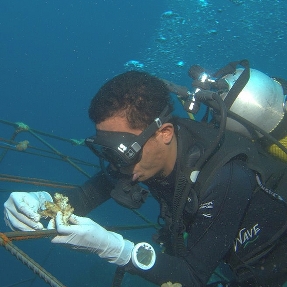 Diving Specials Resort Bali